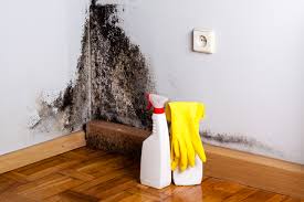 Best Mold Prevention Services in Atlantic Beach, NY